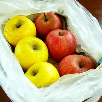 写真のリンゴ以外にも野菜室に入らないリンゴ達まだまだ大量にあるのよ～(* >ω<)
少しでも長持ちするといいな♡